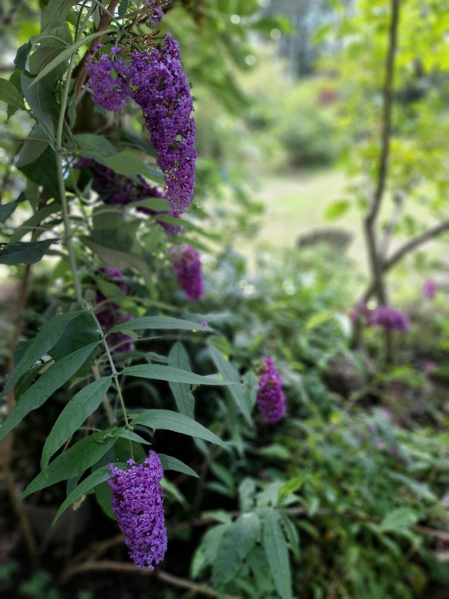 De Springop Villa Eefde Dış mekan fotoğraf