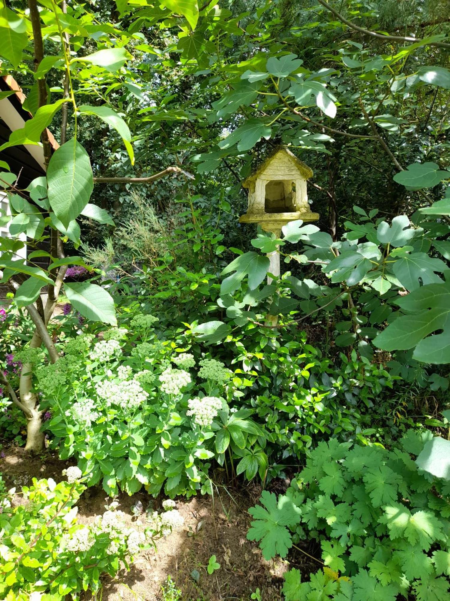 De Springop Villa Eefde Dış mekan fotoğraf